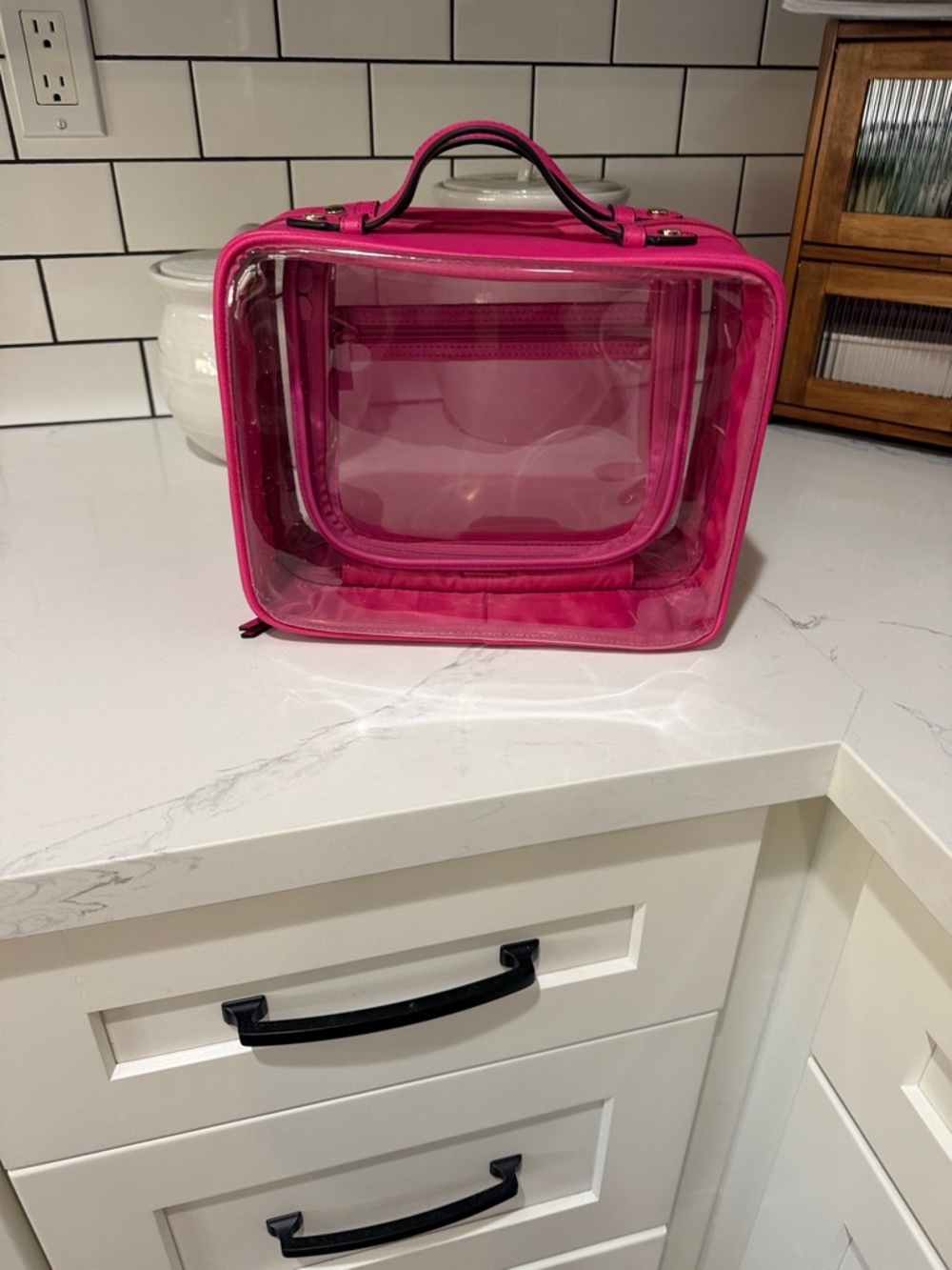 Calpak Hot Pink Clear Travel Case with Top Handle